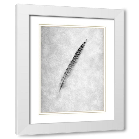Feathers - 9 White Modern Wood Framed Art Print with Double Matting by Blaustein, Alan