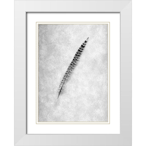 Feathers - 9 White Modern Wood Framed Art Print with Double Matting by Blaustein, Alan