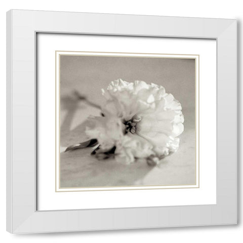 Florison - 28 White Modern Wood Framed Art Print with Double Matting by Blaustein, Alan