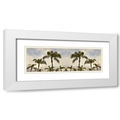 Palm Banner - 2 - Color White Modern Wood Framed Art Print with Double Matting by Blaustein, Alan