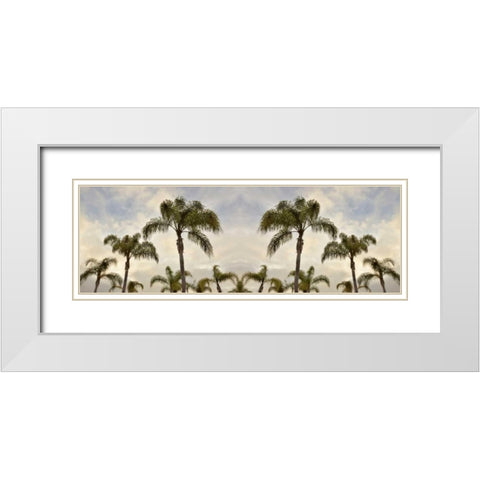 Palm Banner - 2 - Color White Modern Wood Framed Art Print with Double Matting by Blaustein, Alan