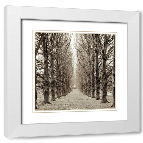 Hampton Gates Promenade - 3 White Modern Wood Framed Art Print with Double Matting by Blaustein, Alan