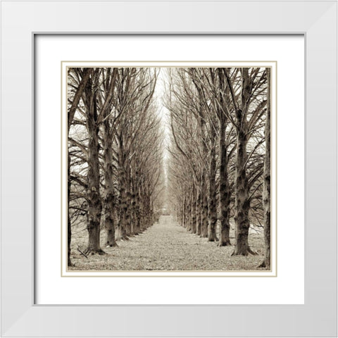 Hampton Gates Promenade - 3 White Modern Wood Framed Art Print with Double Matting by Blaustein, Alan