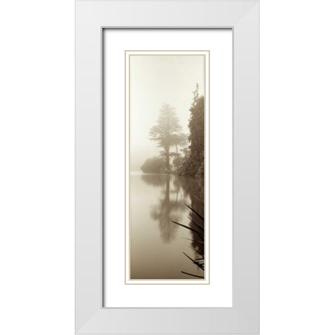Lakeside Tree - 2 White Modern Wood Framed Art Print with Double Matting by Blaustein, Alan