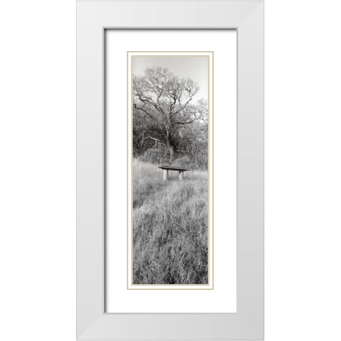 Novato Oak White Modern Wood Framed Art Print with Double Matting by Blaustein, Alan