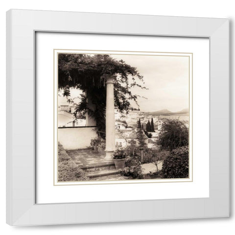 Jardin del Rey Moro White Modern Wood Framed Art Print with Double Matting by Blaustein, Alan