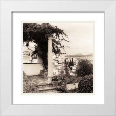 Jardin del Rey Moro White Modern Wood Framed Art Print with Double Matting by Blaustein, Alan
