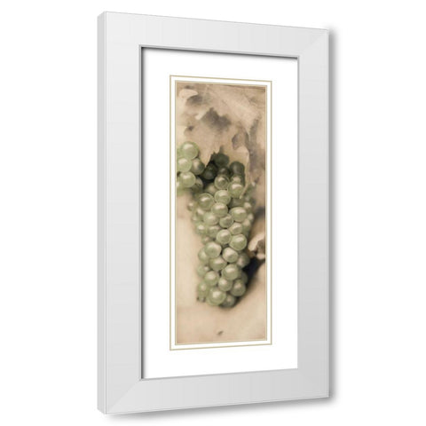 Pinot Blanc White Modern Wood Framed Art Print with Double Matting by Blaustein, Alan