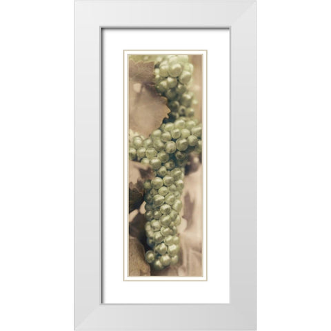 Chardonnay White Modern Wood Framed Art Print with Double Matting by Blaustein, Alan
