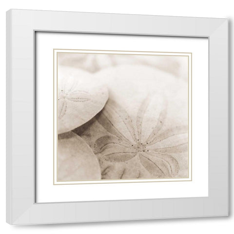 Atlantis 2 White Modern Wood Framed Art Print with Double Matting by Blaustein, Alan