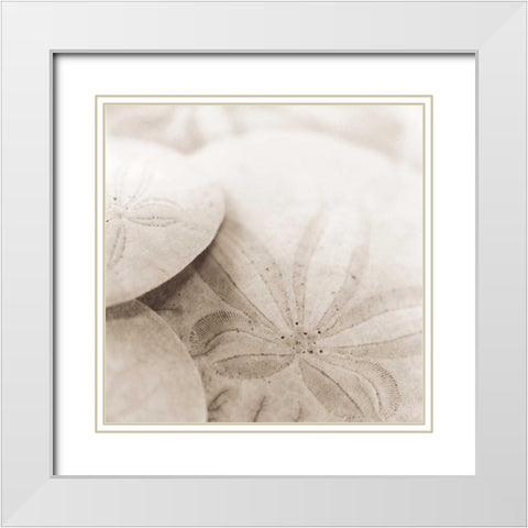 Atlantis 2 White Modern Wood Framed Art Print with Double Matting by Blaustein, Alan