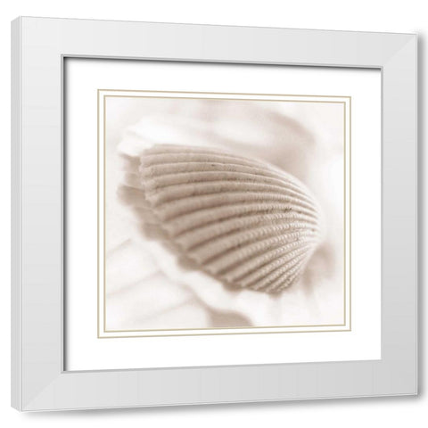 Atlantis 3 White Modern Wood Framed Art Print with Double Matting by Blaustein, Alan