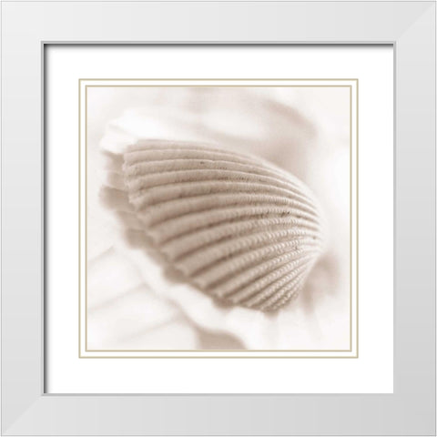 Atlantis 3 White Modern Wood Framed Art Print with Double Matting by Blaustein, Alan