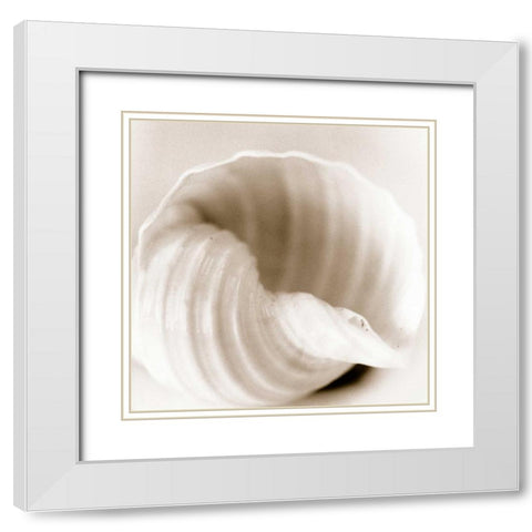 Atlantis 4 White Modern Wood Framed Art Print with Double Matting by Blaustein, Alan