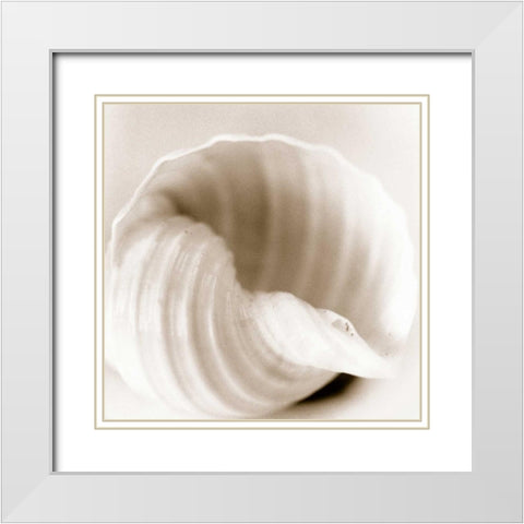 Atlantis 4 White Modern Wood Framed Art Print with Double Matting by Blaustein, Alan