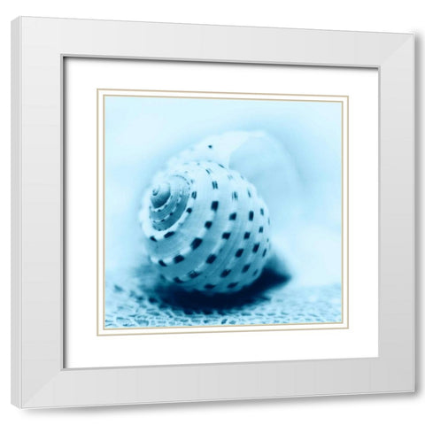 Nautica No3 White Modern Wood Framed Art Print with Double Matting by Blaustein, Alan