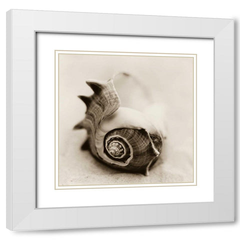 La Playa No2 White Modern Wood Framed Art Print with Double Matting by Blaustein, Alan