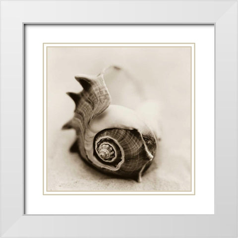 La Playa No2 White Modern Wood Framed Art Print with Double Matting by Blaustein, Alan