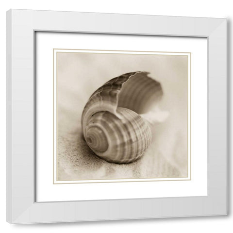 La Playa No3 White Modern Wood Framed Art Print with Double Matting by Blaustein, Alan