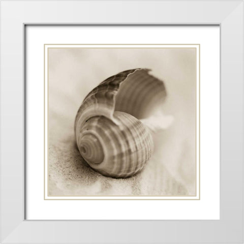 La Playa No3 White Modern Wood Framed Art Print with Double Matting by Blaustein, Alan