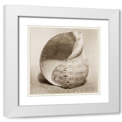 La Playa No4 White Modern Wood Framed Art Print with Double Matting by Blaustein, Alan