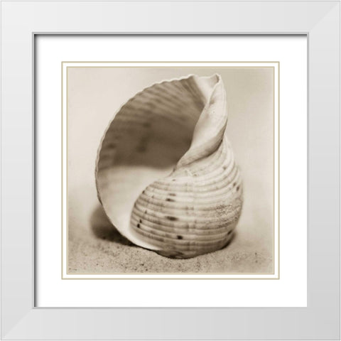 La Playa No4 White Modern Wood Framed Art Print with Double Matting by Blaustein, Alan