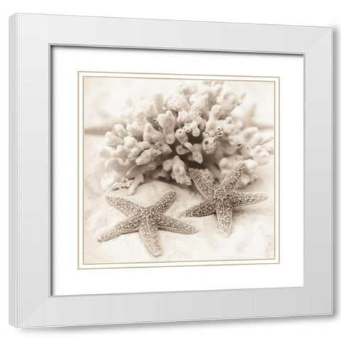 La Mer 1 White Modern Wood Framed Art Print with Double Matting by Blaustein, Alan