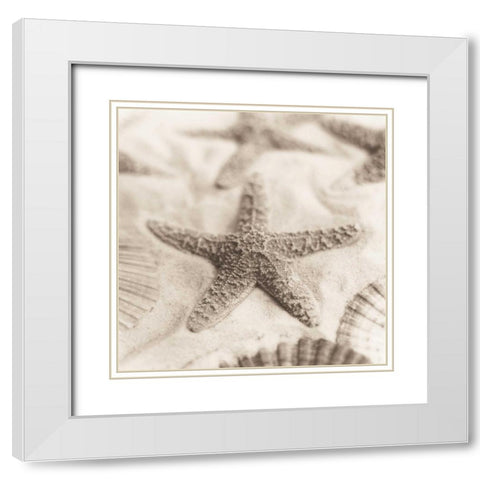 La Mer 2 White Modern Wood Framed Art Print with Double Matting by Blaustein, Alan