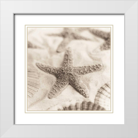 La Mer 2 White Modern Wood Framed Art Print with Double Matting by Blaustein, Alan