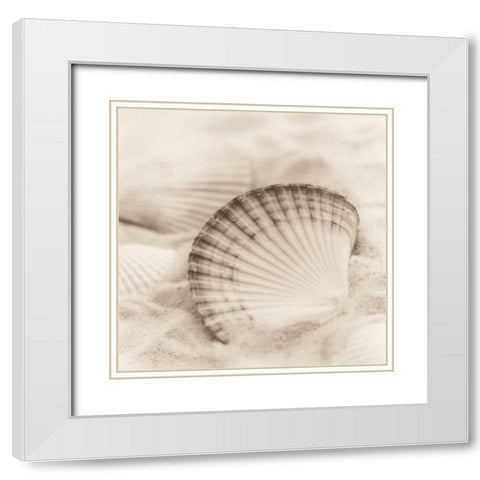 La Mer 3 White Modern Wood Framed Art Print with Double Matting by Blaustein, Alan