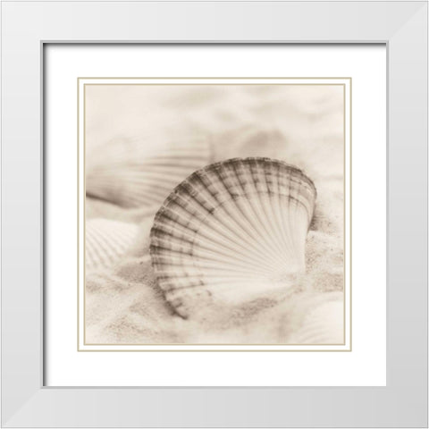 La Mer 3 White Modern Wood Framed Art Print with Double Matting by Blaustein, Alan