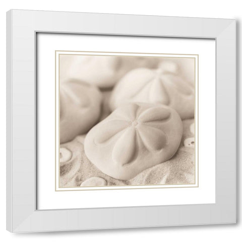 La Mer 4 White Modern Wood Framed Art Print with Double Matting by Blaustein, Alan