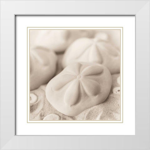 La Mer 4 White Modern Wood Framed Art Print with Double Matting by Blaustein, Alan