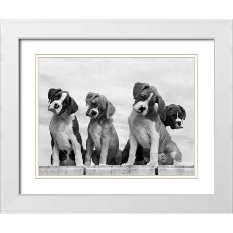 Wonder White Modern Wood Framed Art Print with Double Matting by Beals, Sharon