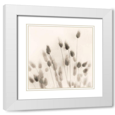 Italian Tall Grass No. 2 White Modern Wood Framed Art Print with Double Matting by Blaustein, Alan