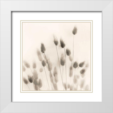 Italian Tall Grass No. 2 White Modern Wood Framed Art Print with Double Matting by Blaustein, Alan