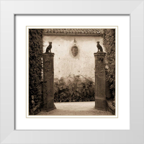 Giardini Ornamentale White Modern Wood Framed Art Print with Double Matting by Blaustein, Alan
