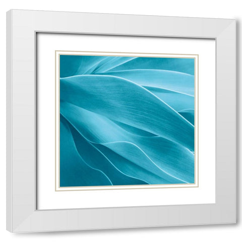 Succulent White Modern Wood Framed Art Print with Double Matting by Bell, Jan