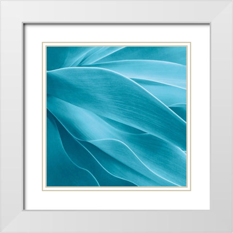 Succulent White Modern Wood Framed Art Print with Double Matting by Bell, Jan