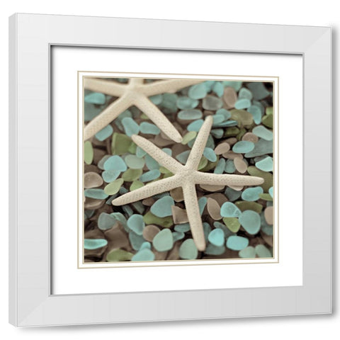 Aquatic 1 White Modern Wood Framed Art Print with Double Matting by Blaustein, Alan