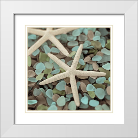 Aquatic 1 White Modern Wood Framed Art Print with Double Matting by Blaustein, Alan