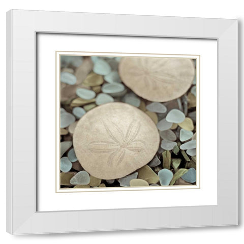 Aquatic 2 White Modern Wood Framed Art Print with Double Matting by Blaustein, Alan