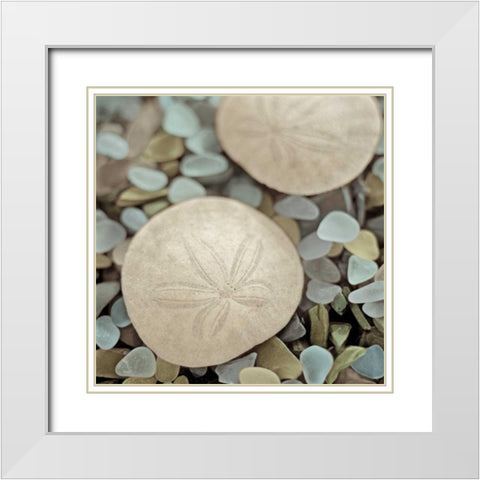 Aquatic 2 White Modern Wood Framed Art Print with Double Matting by Blaustein, Alan