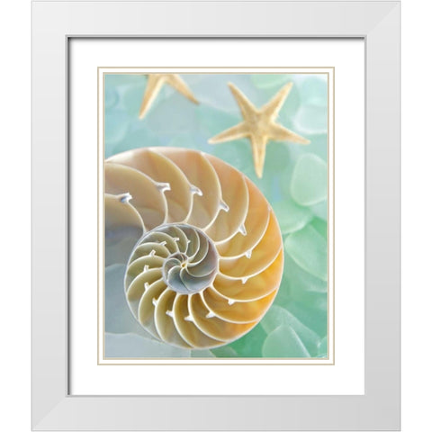 Seaglass 2 White Modern Wood Framed Art Print with Double Matting by Blaustein, Alan