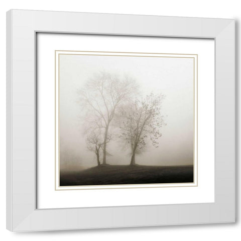 Four Trees in Fog White Modern Wood Framed Art Print with Double Matting by Bell, Nicholas