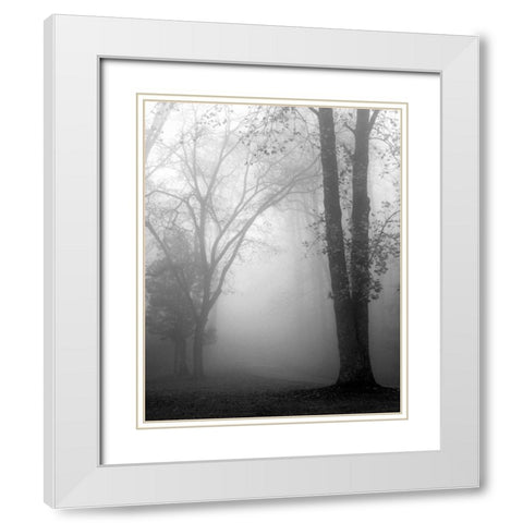 November Fog White Modern Wood Framed Art Print with Double Matting by Bell, Nicholas