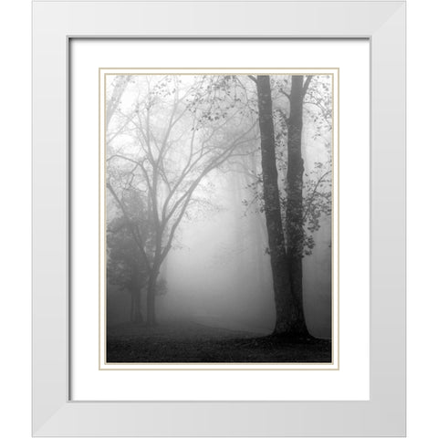 November Fog White Modern Wood Framed Art Print with Double Matting by Bell, Nicholas