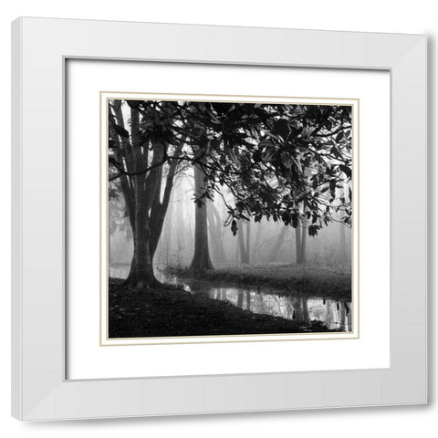 Woodland No. 1 White Modern Wood Framed Art Print with Double Matting by Bell, Nicholas