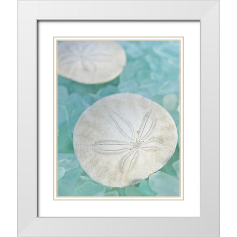 Seaglass 3 White Modern Wood Framed Art Print with Double Matting by Blaustein, Alan