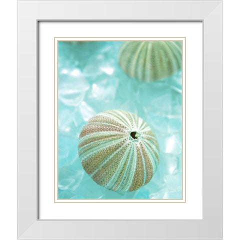 Seaglass 4 White Modern Wood Framed Art Print with Double Matting by Blaustein, Alan